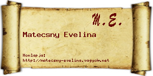 Matecsny Evelina névjegykártya